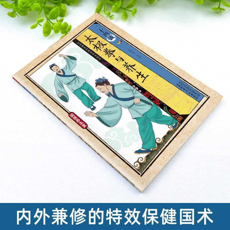 24 Stile Tai Chi und Gesundhei – Health & Wellness Unit Bewertung und Preis