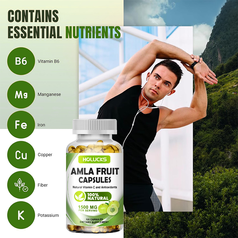 HOLUCKS Amla-Fruchtextrakt-Kap – Health Wellness Day Bewertung und Preis