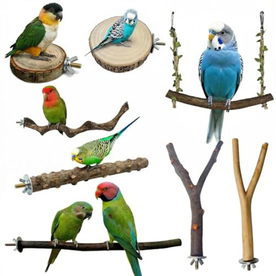 8 Stück Vogelsitzstangen aus N – Health & Wellness Unit Bewertung und Preis