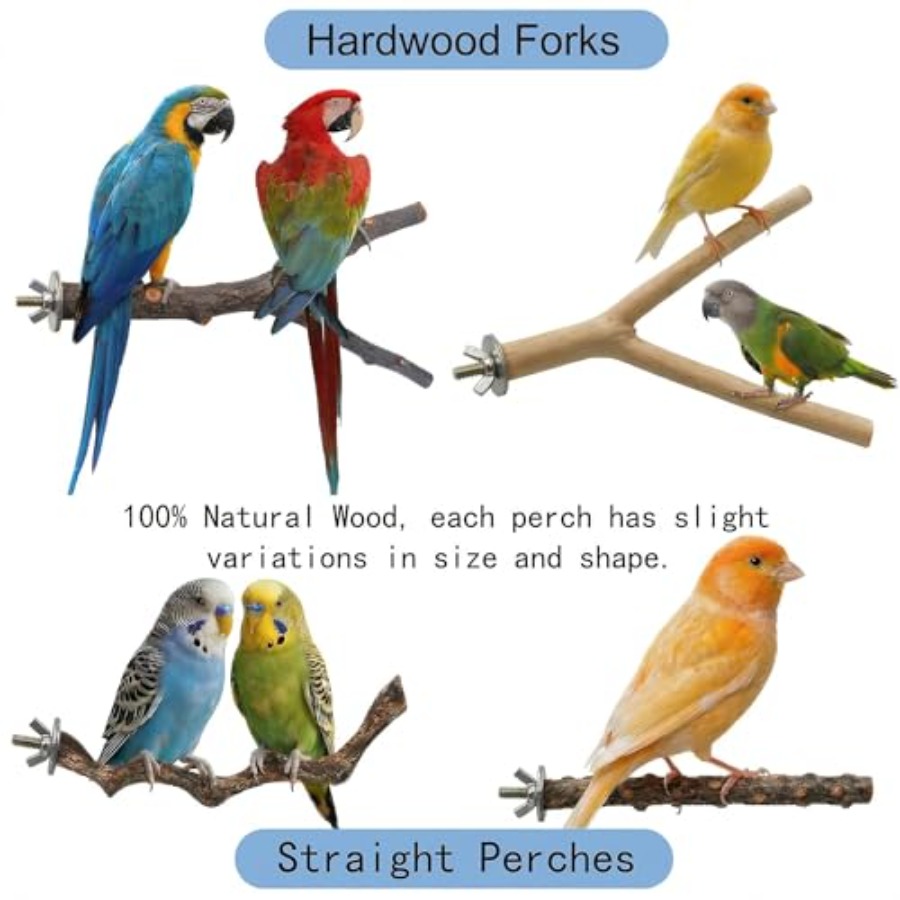 8 Stück Vogelsitzstangen aus N – Health & Wellness Unit Bewertung und Preis