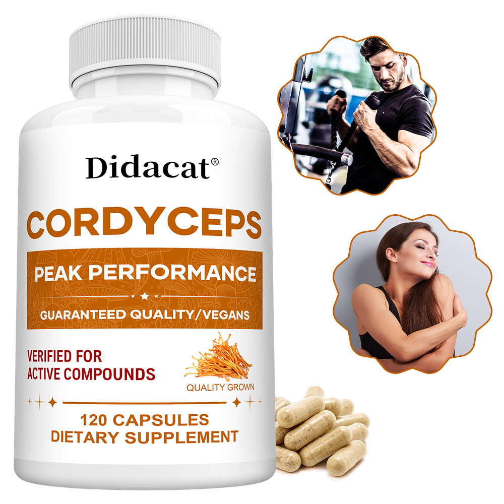 Cordyceps-Pilz-Kapseln 1000mg, – Health Wellness Day Bewertung und Preis