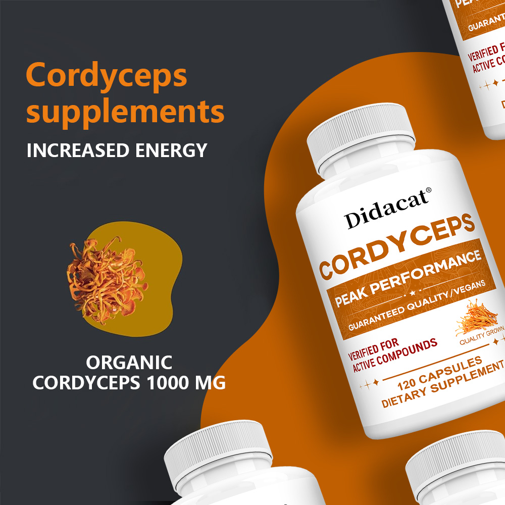 Cordyceps-Pilz-Kapseln 1000mg, – Health Wellness Day Bewertung und Preis
